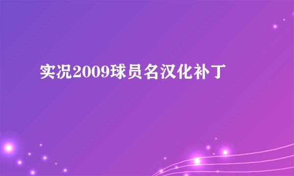 实况2009球员名汉化补丁