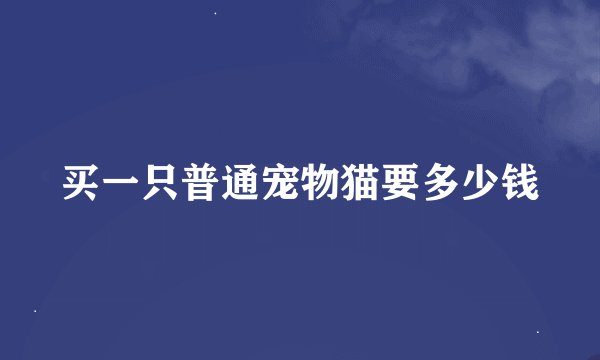 买一只普通宠物猫要多少钱