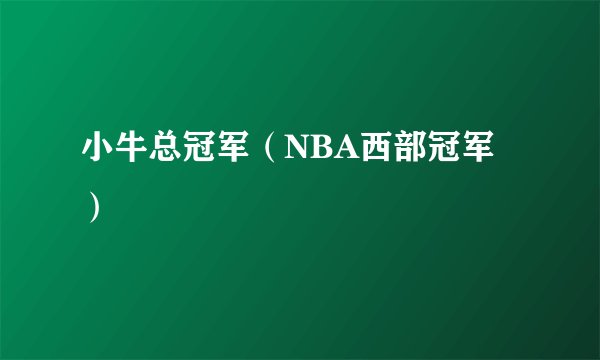 小牛总冠军（NBA西部冠军）