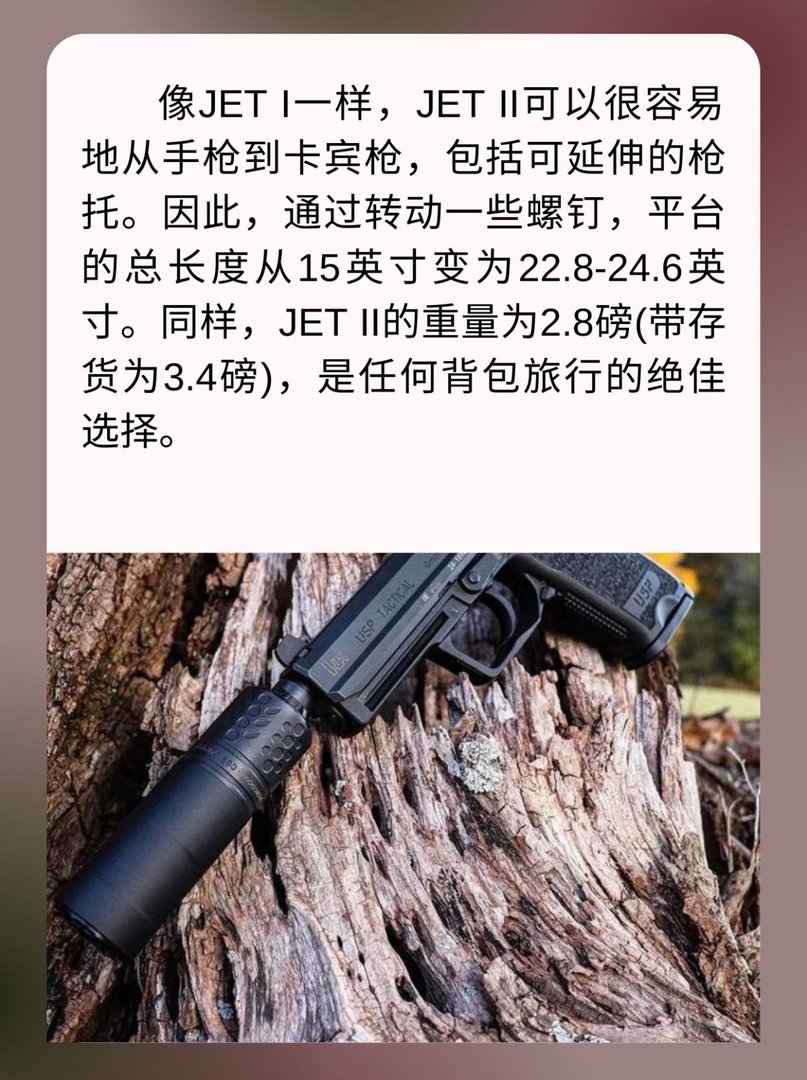 双气缸JETIIPCP气手枪