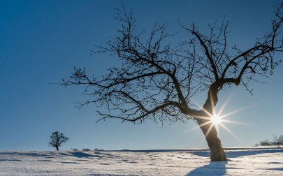 两个人名字相差的笔画数代表的意思？