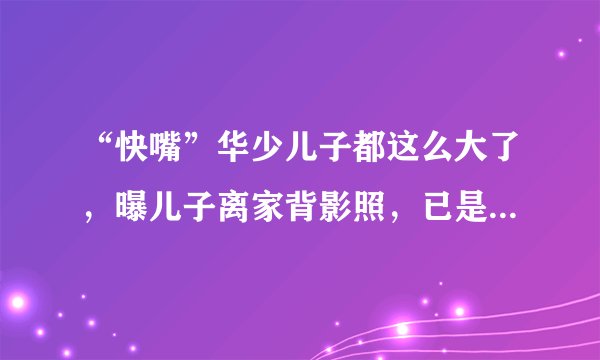 “快嘴”华少儿子都这么大了，曝儿子离家背影照，已是小小少年了