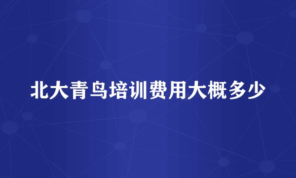 北大青鸟培训费用大概多少