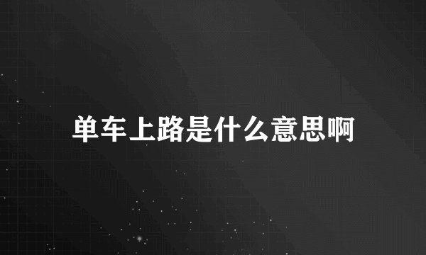 单车上路是什么意思啊