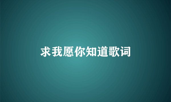 求我愿你知道歌词