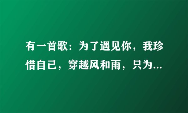 有一首歌：为了遇见你，我珍惜自己，穿越风和雨，只为交出我的心……请问：它叫什么名字。谢谢