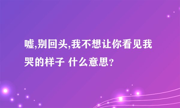 嘘,别回头,我不想让你看见我哭的样子 什么意思？