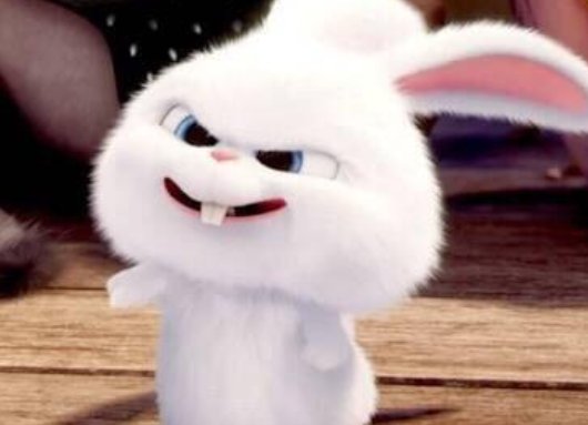 十只兔子中谁是凶手