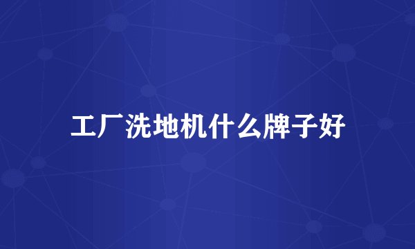 工厂洗地机什么牌子好