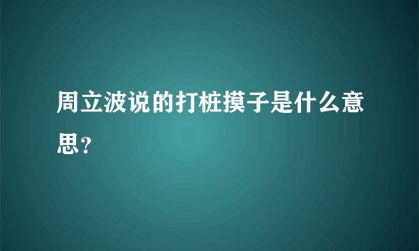 周立波说的打桩摸子是什么意思？