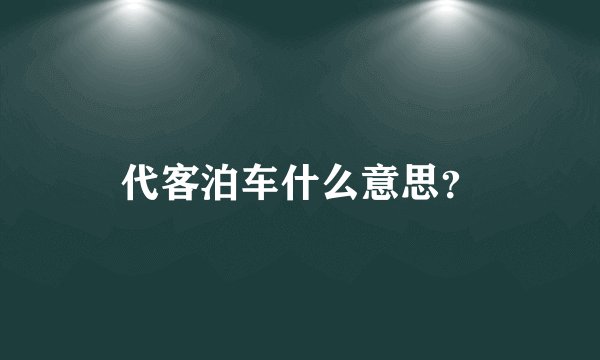 代客泊车什么意思？