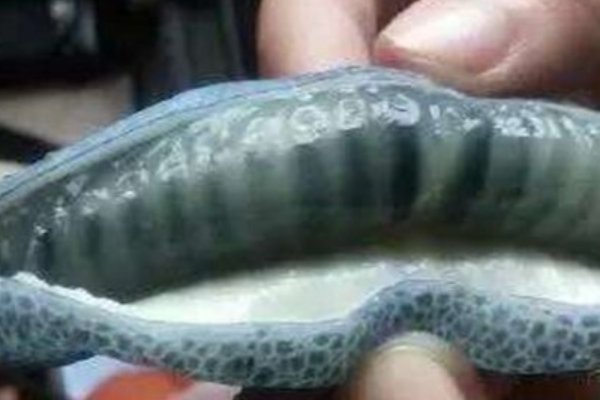 10种最吓人的水果