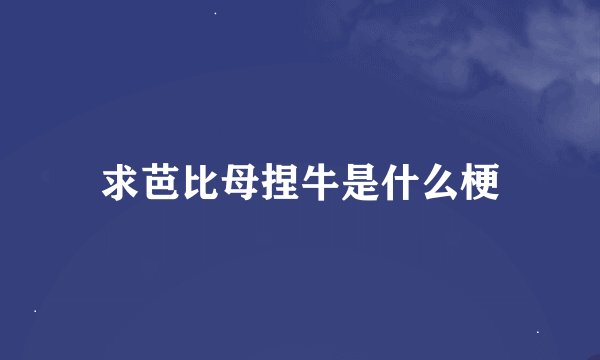 求芭比母捏牛是什么梗