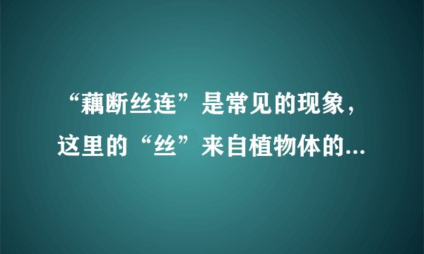 “藕断丝连”是常见的现象，这里的“丝”来自植物体的什么组织
