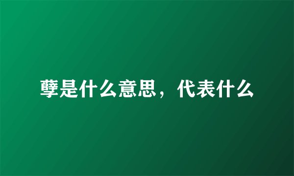 孽是什么意思，代表什么