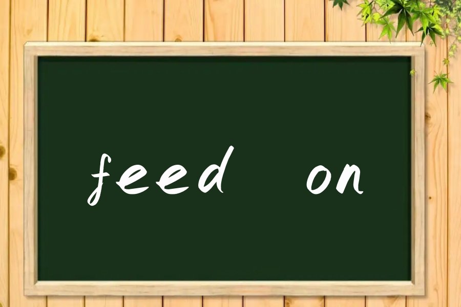 feedon是什么意思