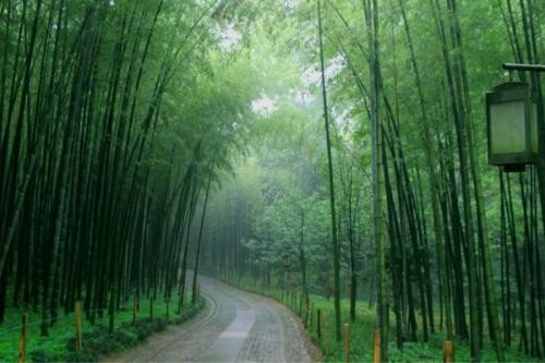 “一场秋雨，一场寒”有什么科学依据吗？