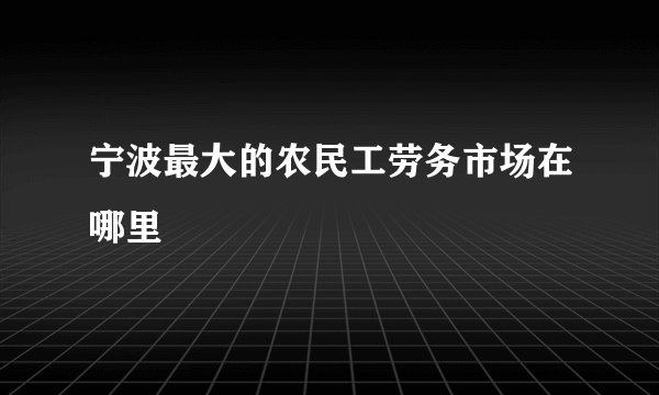 宁波最大的农民工劳务市场在哪里