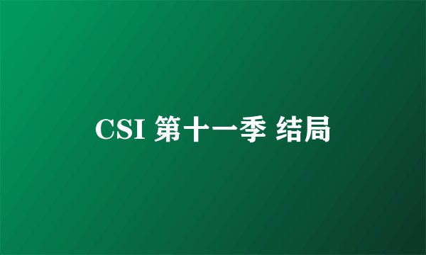 CSI 第十一季 结局