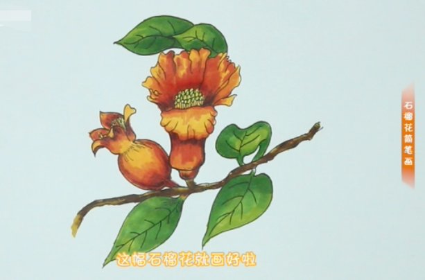 怎样画石榴花简笔画