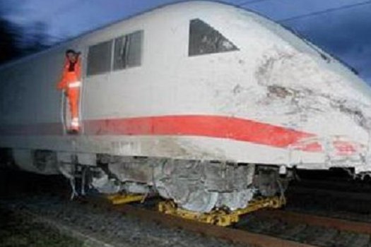 意大利羊群窜入列车轨道，最终造成了什么后果？如何处理的？