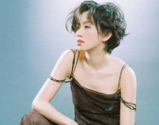 谁知道刘德华和梅艳芳一起主演的所有电影？