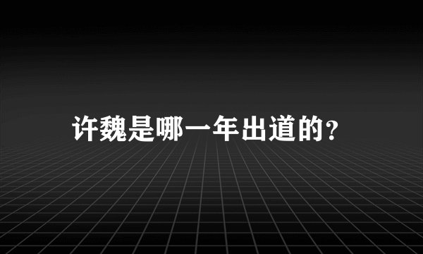 许魏是哪一年出道的？