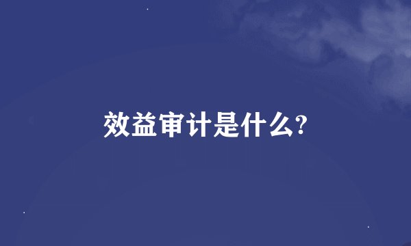 效益审计是什么?