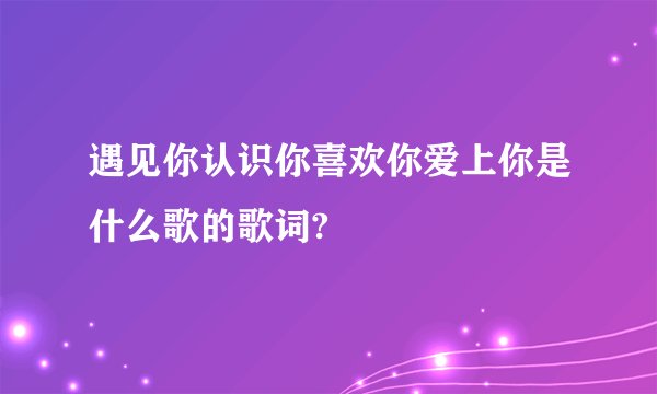遇见你认识你喜欢你爱上你是什么歌的歌词?