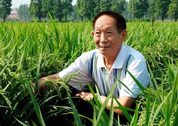 感动中国 袁隆平 颁奖词