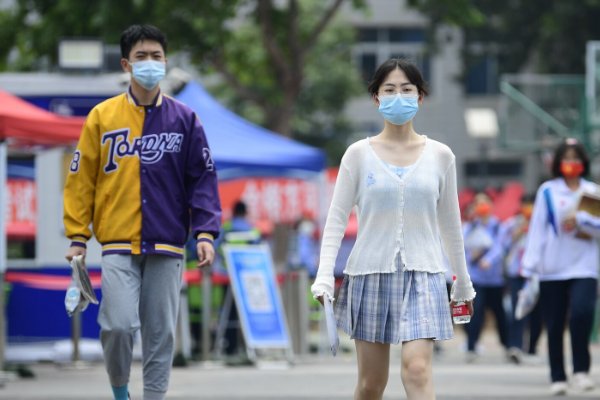 怎么查看自己的高考志愿档案状态