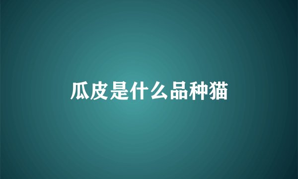 瓜皮是什么品种猫