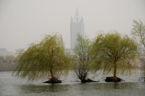 诗词中的“西楼”到底指的是什么?