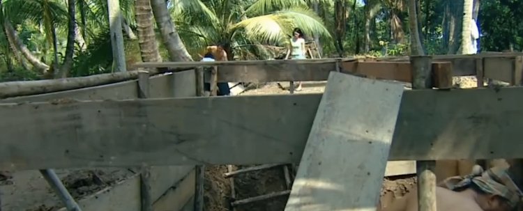 红尘依莎国语38版全集剧情介绍