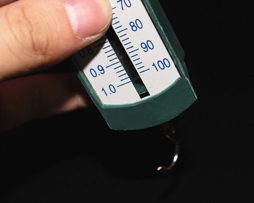 称重量的工具有哪些？