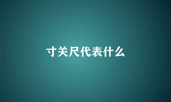 寸关尺代表什么