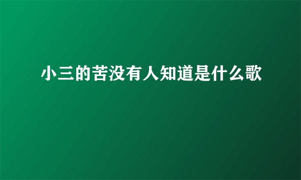 小三的苦没有人知道是什么歌