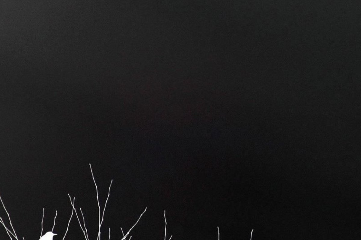 黑糊糊和黑乎乎哪个正确