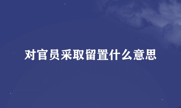 对官员采取留置什么意思