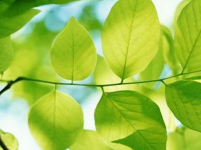 二年级的真像怎么造句