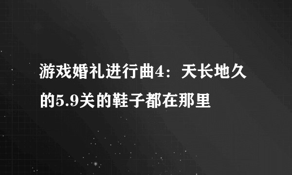 游戏婚礼进行曲4：天长地久的5.9关的鞋子都在那里