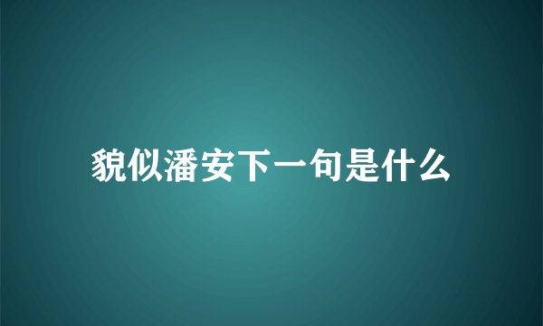 貌似潘安下一句是什么