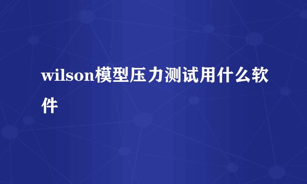 wilson模型压力测试用什么软件