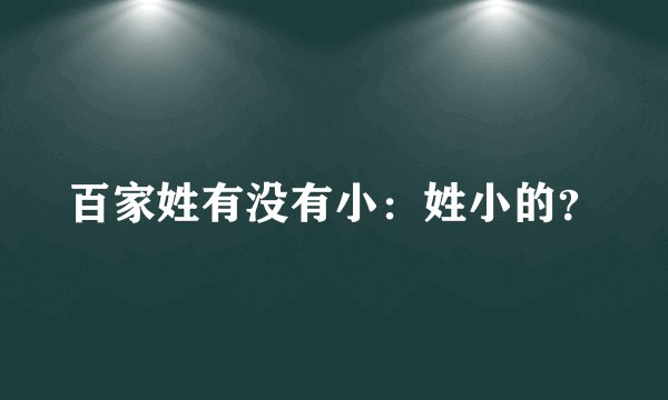 百家姓有没有小：姓小的？