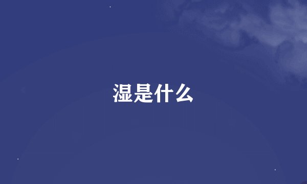 湿是什么