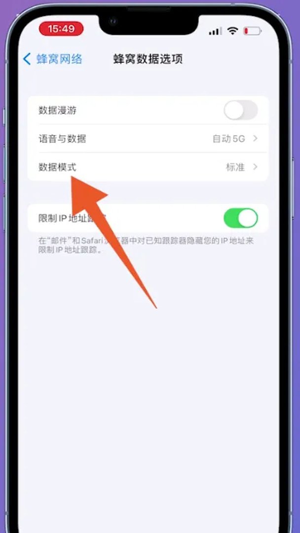苹果怎么限制流量的使用呢？