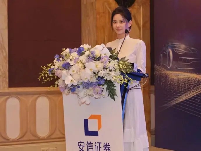 “空降者”代表中国逐梦世界小姐，网友都提出了哪些疑点？