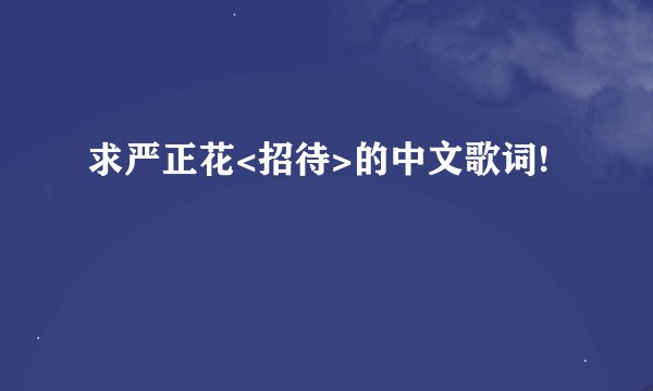 求严正花<招待>的中文歌词!
