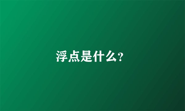 浮点是什么？