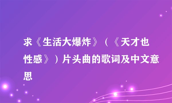 求《生活大爆炸》（《天才也性感》）片头曲的歌词及中文意思